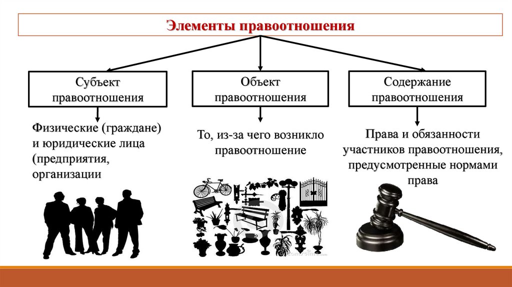 Какую социальную роль человека и какое право гражданина россии иллюстрирует эта фотография ученики
