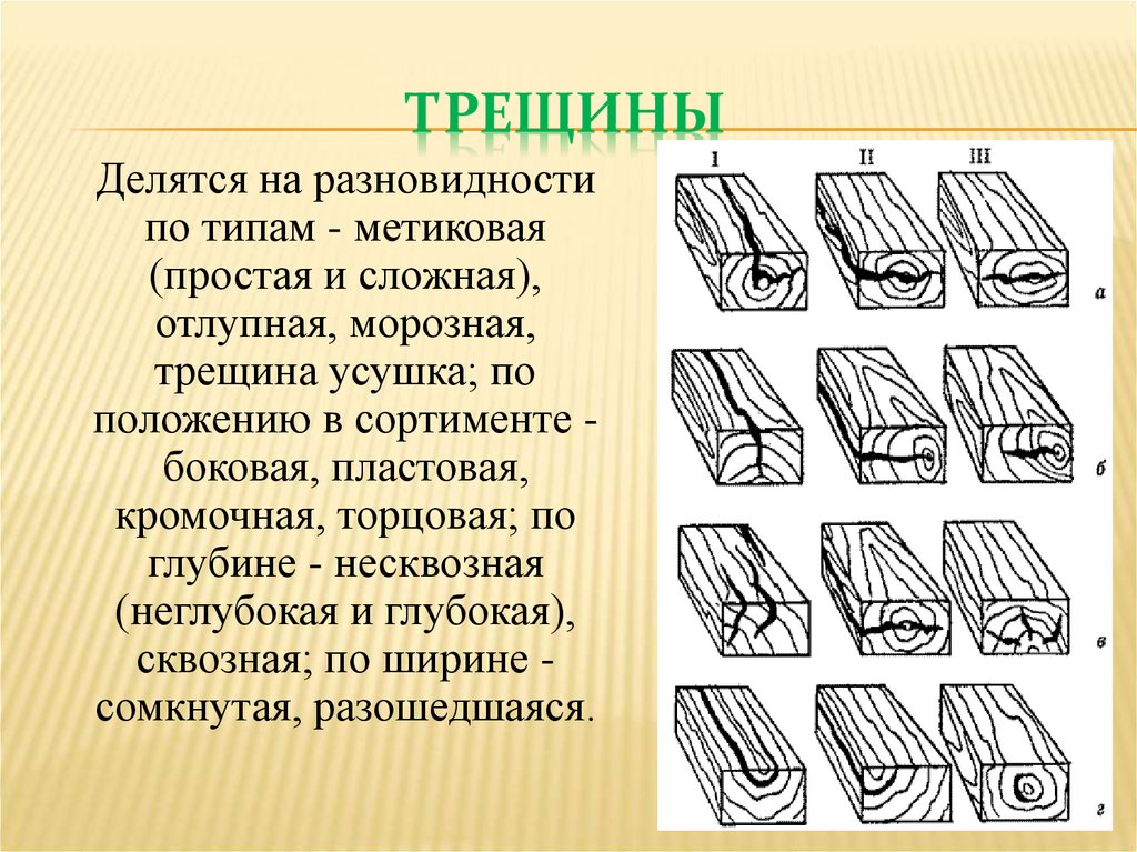 Пороки древесины презентация