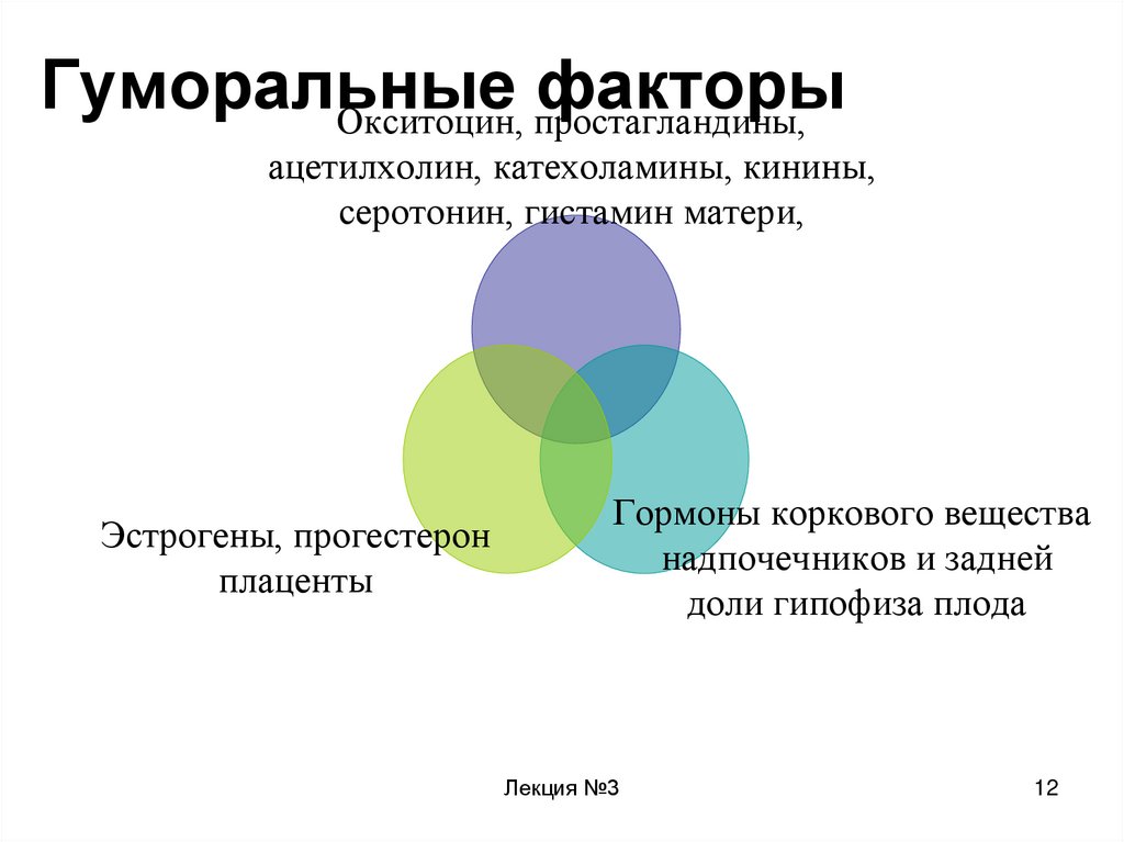 Род деятельности в настоящее время. Род деятельности примеры. Какой бывает род деятельности. Гуморальные факторы. Род деятельности для презентации.