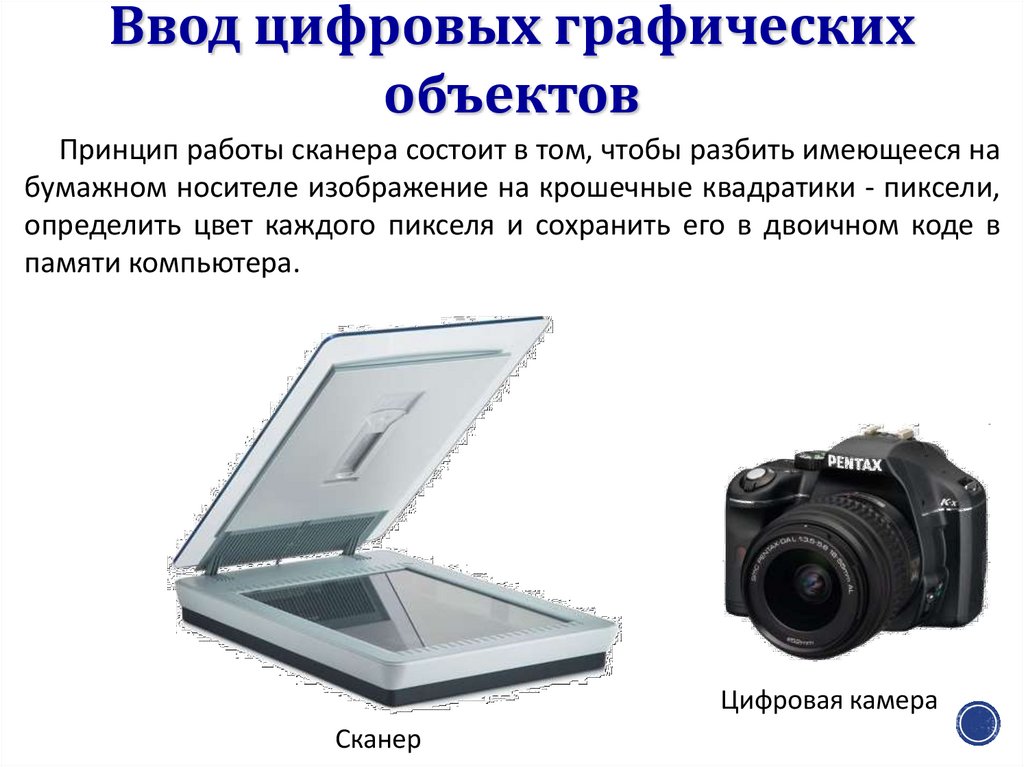 Как называется устройство ввода графических изображений в компьютер тест