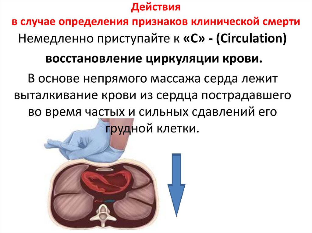 Реанимация карта вызова