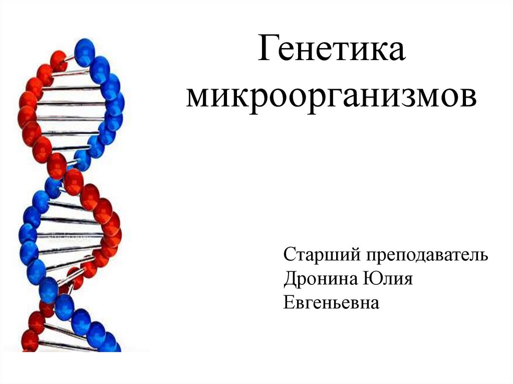 Генетика микроорганизмов микробиология презентация