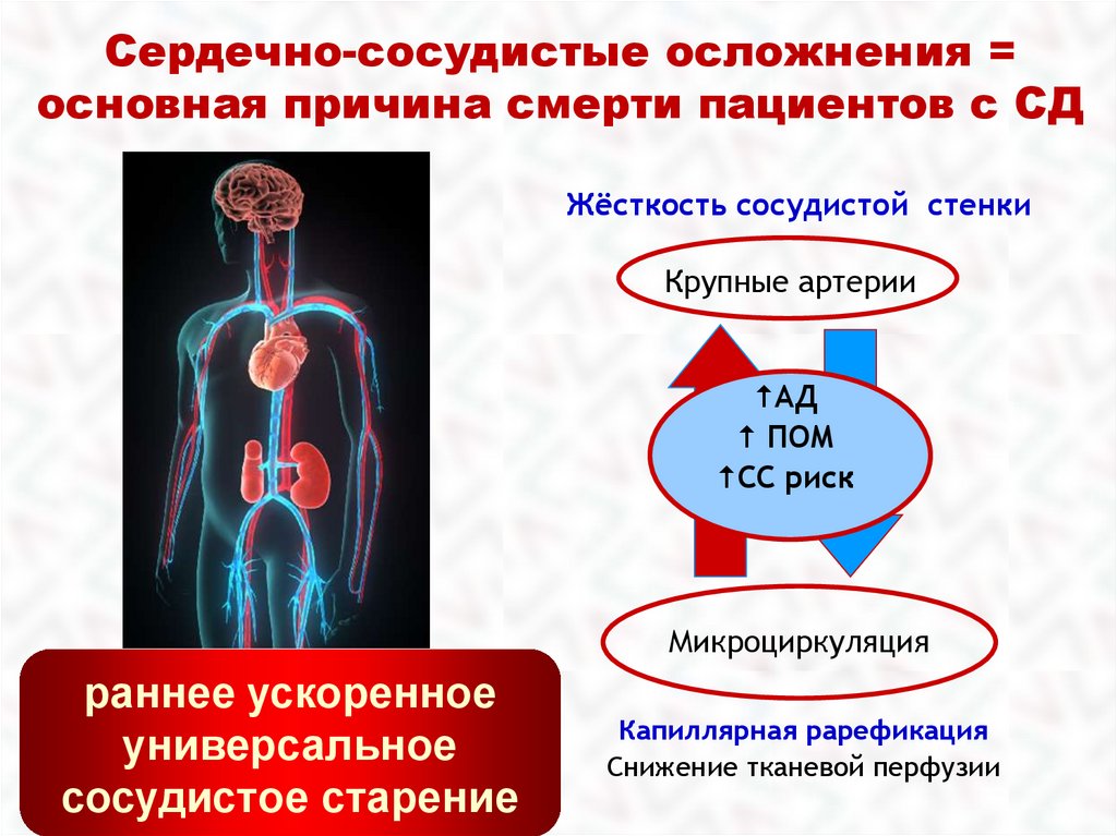 Профилактика сосудистых осложнений