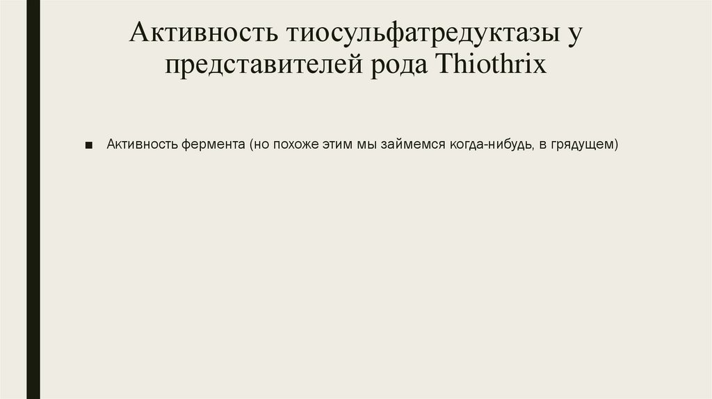 Активность тиосульфатредуктазы у представителей рода Thiothrix