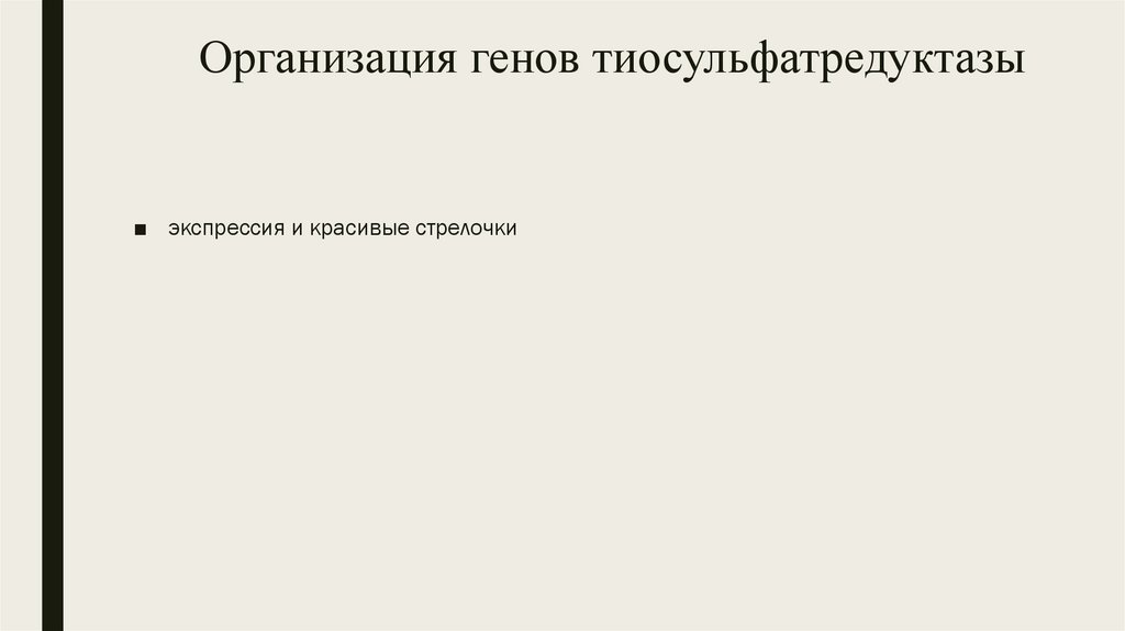 Организация генов тиосульфатредуктазы