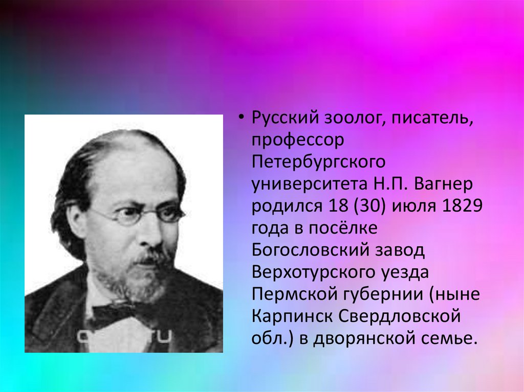 Николай петрович вагнер береза план