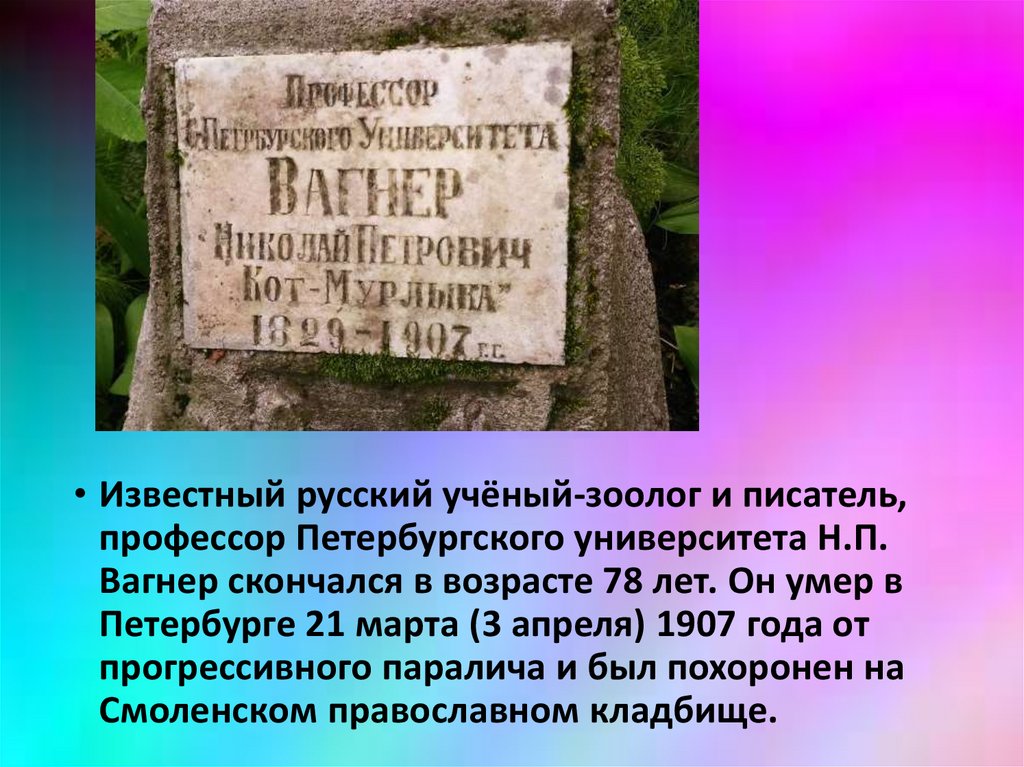 Н вагнер береза 4 класс школа 21 века презентация