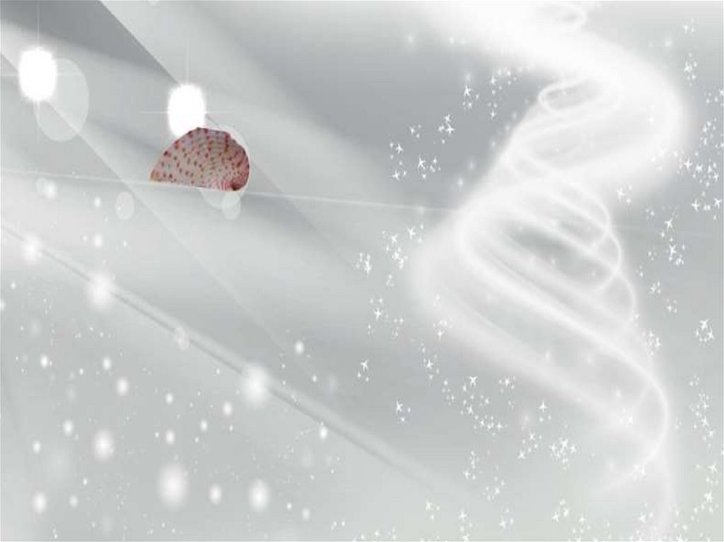 ???Загадка???