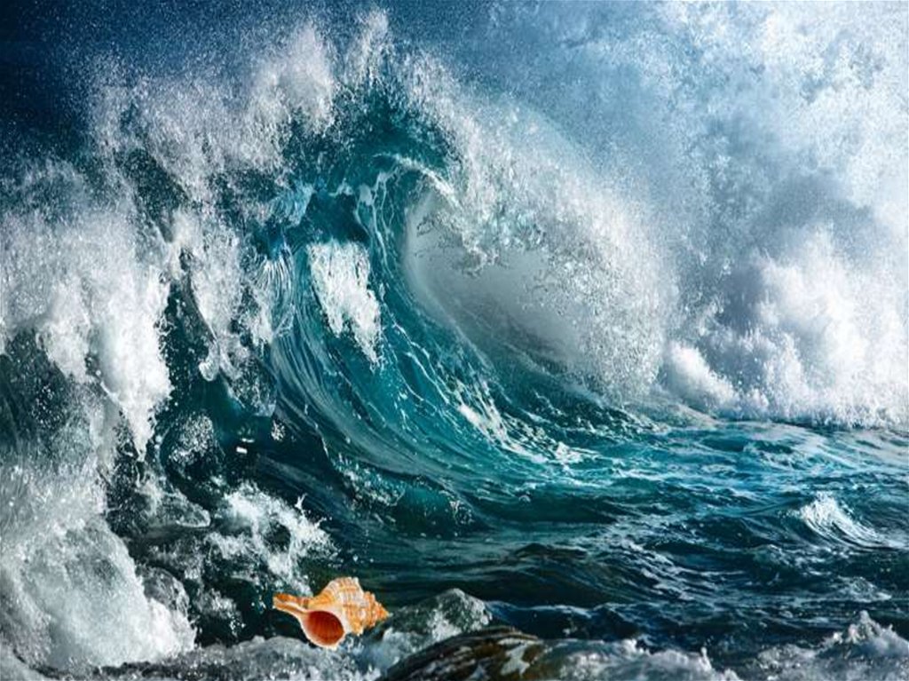 ???Загадка???