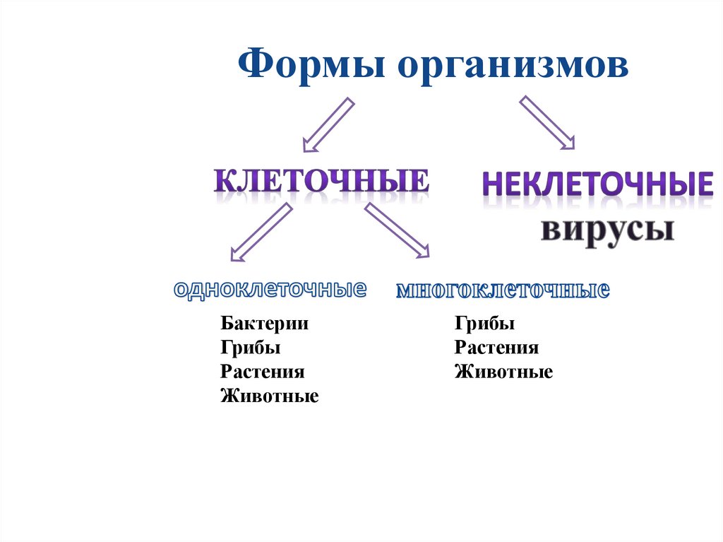 Неклеточные организмы