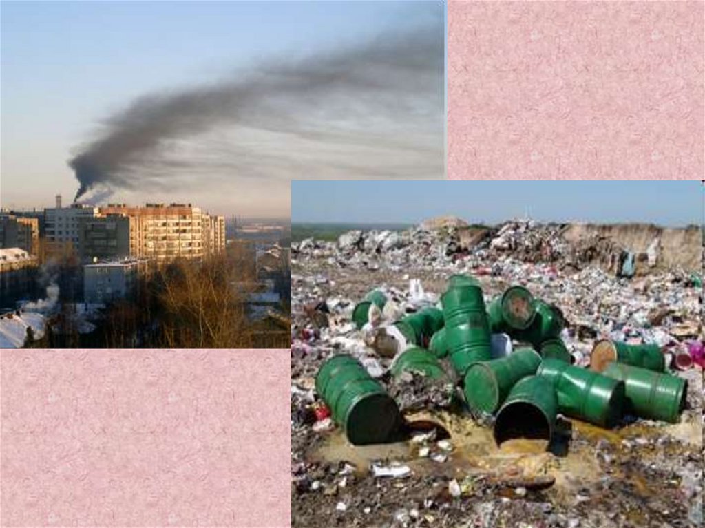 К чему приводит загрязнение окружающей среды