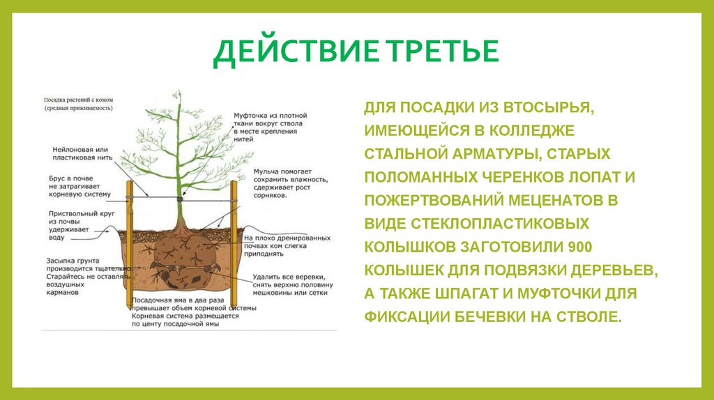 ДЕЙСТВИЕ ТРЕТЬЕ