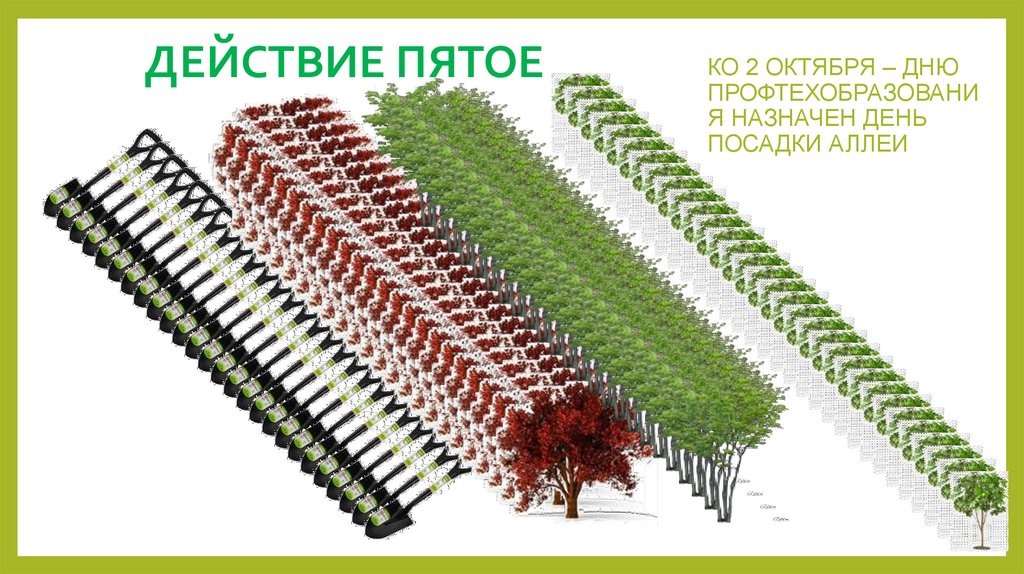 ДЕЙСТВИЕ ПЯТОЕ