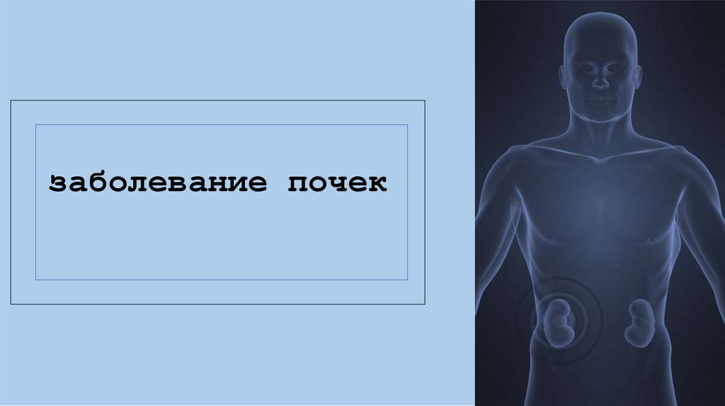 Заболевания почек 8 класс презентация