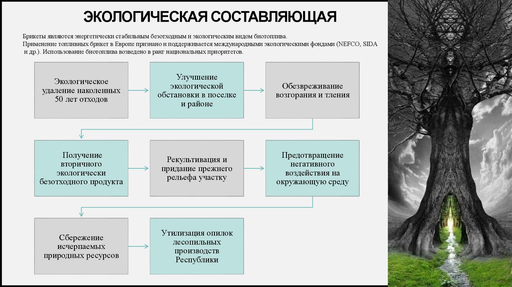 Экологическая составляющая