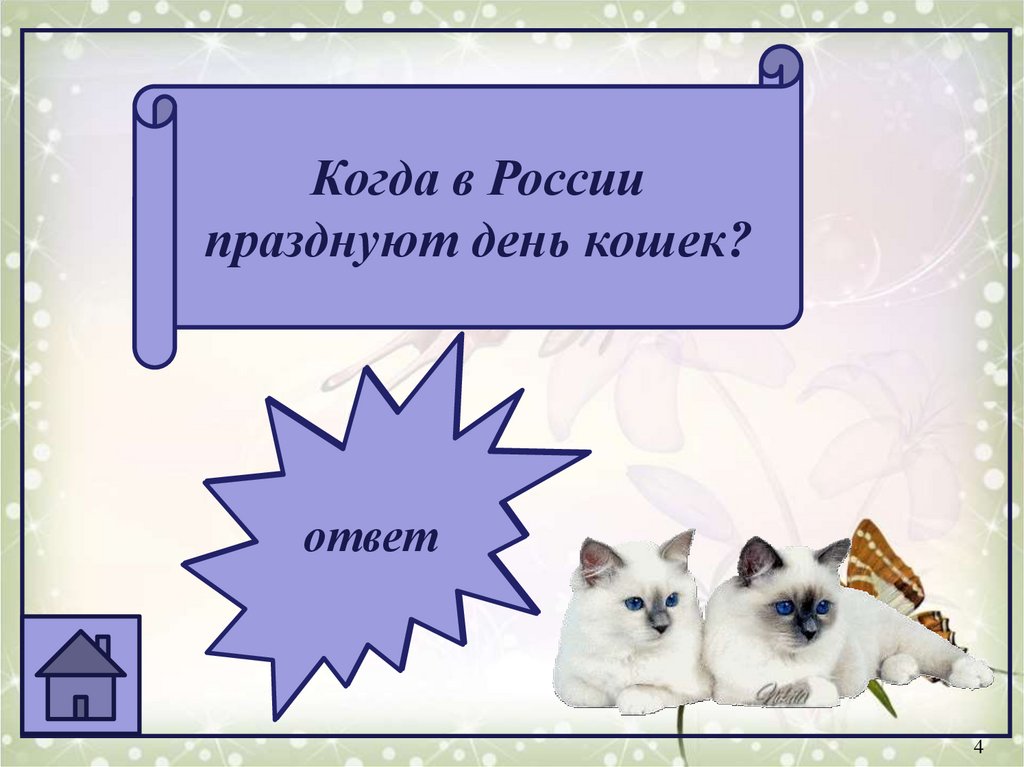 Кошки рабочая 1