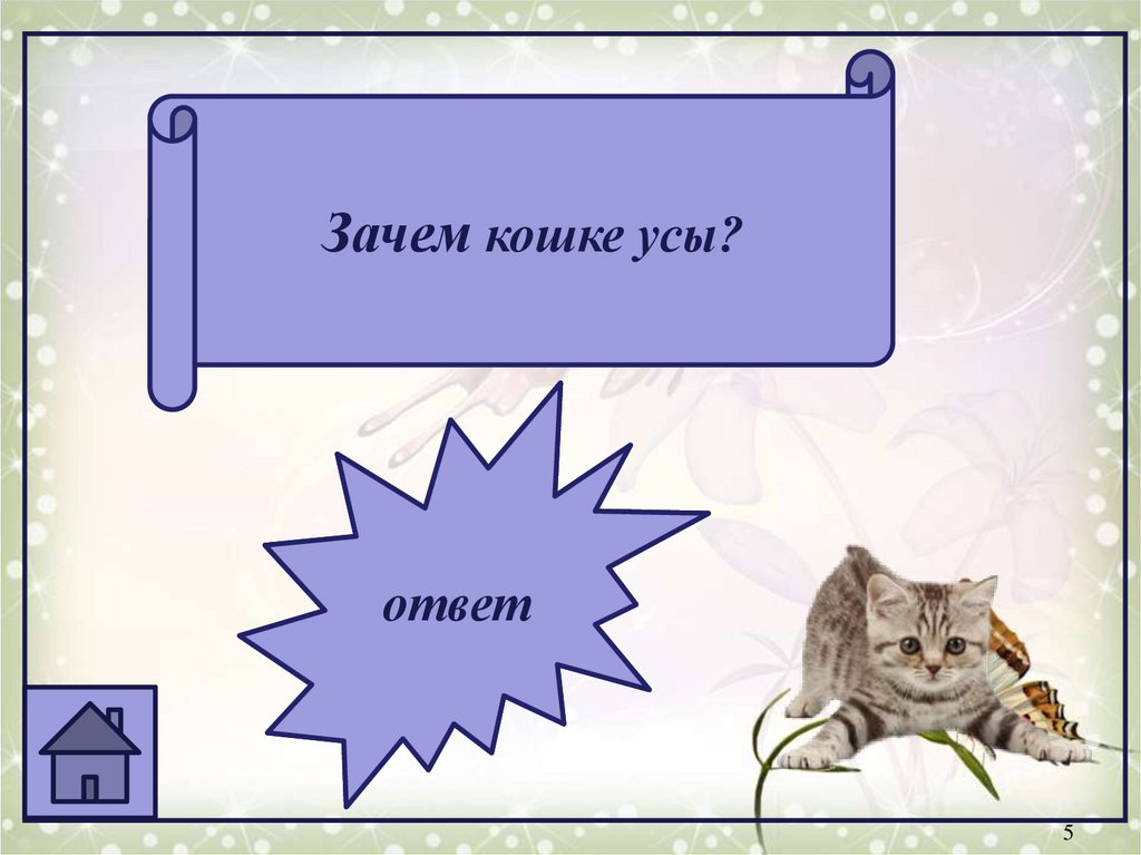 Кошачий ус в кошельке приметы