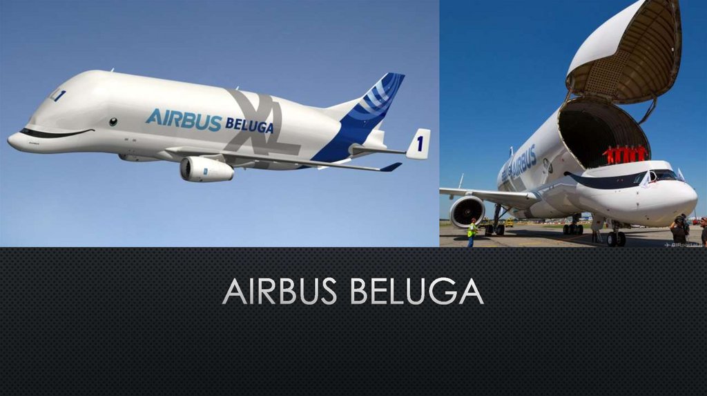 AIRBUS BELUGA