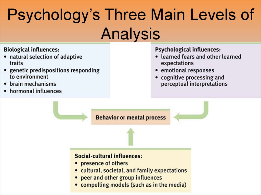 Psychology’s Three Main Levels of Analysis