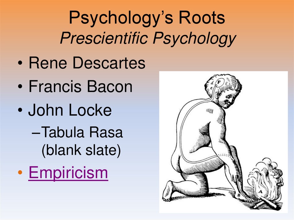 Psychology’s Roots Prescientific Psychology