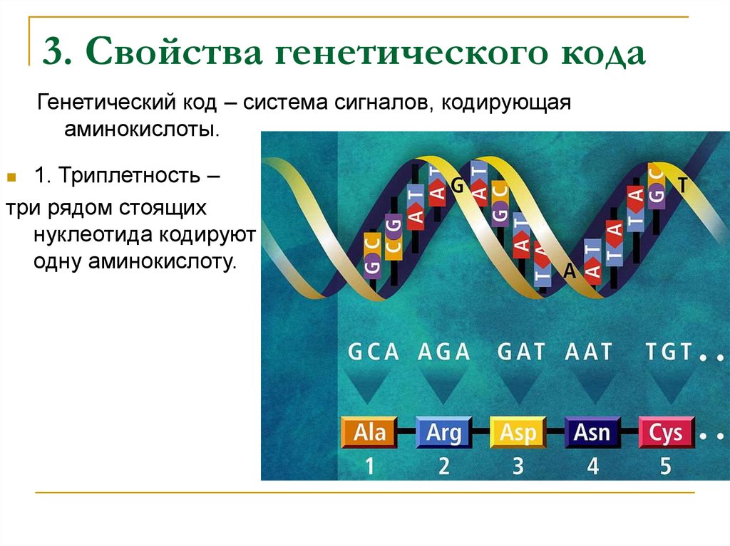 3 генетический код свойства генетического кода