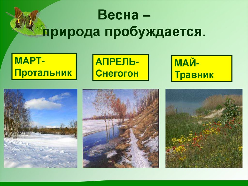 Сезонные изменения в живой природе. Весна весенние изменения в природе. Весенние месяцы. Презентация на тему ве. Изменения в природе весной.