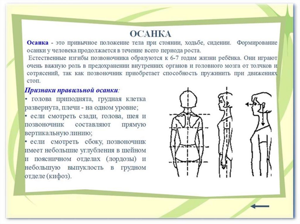 Проект здоровая осанка