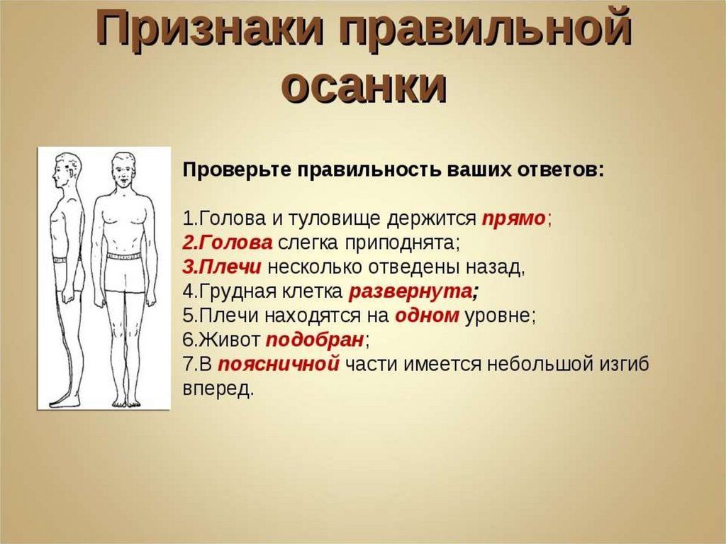 Тема осанка. Признаки характерные для правильной и неправильной осанки. Признаки правильной осанки. Назовите признаки характерные для правильной осанки. Проверяем правильность осанки.