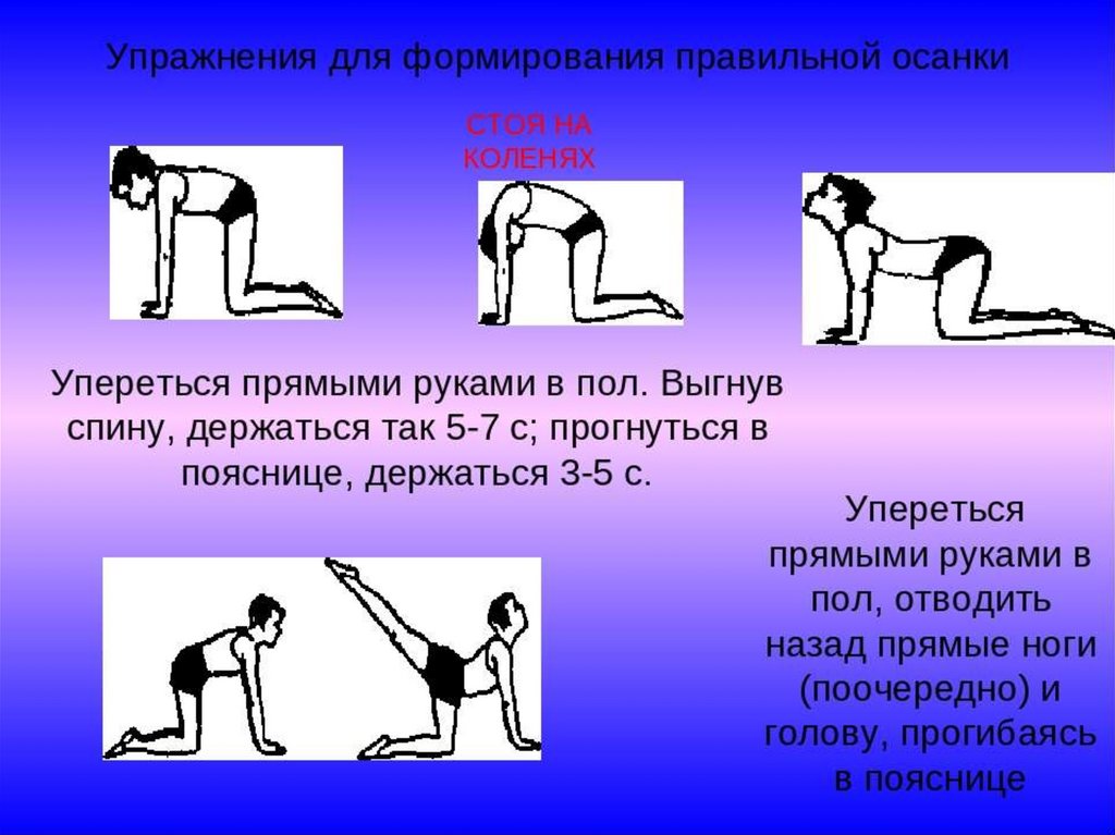 Гимнастика помогает. Упражнения для осанки. Упражнения для формированияпрвильной осанки. Комплекс упражнений для правильной осанки. Комплекс упражнений для развития правильной осанки.