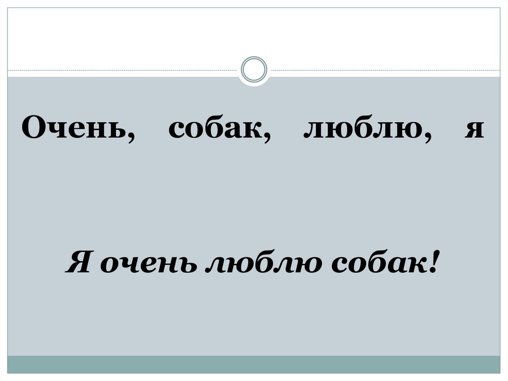 Я люблю собак всегда готов