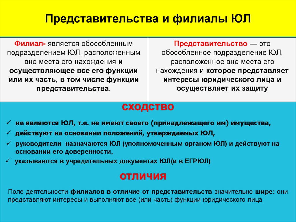 Филиалы и представительства общества