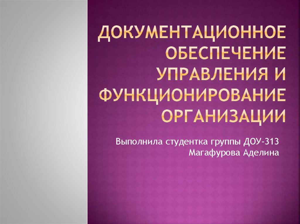 Документационное обеспечение управления и функционирование организации ...