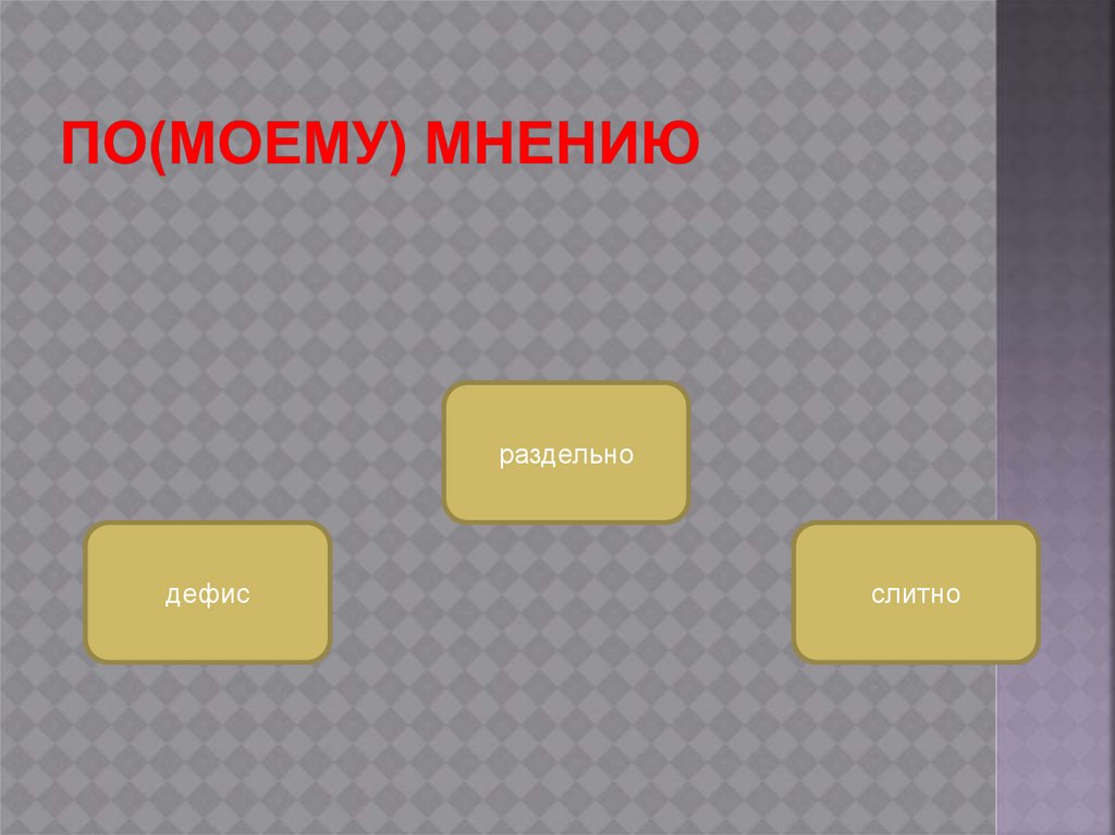 По(моему) мнению