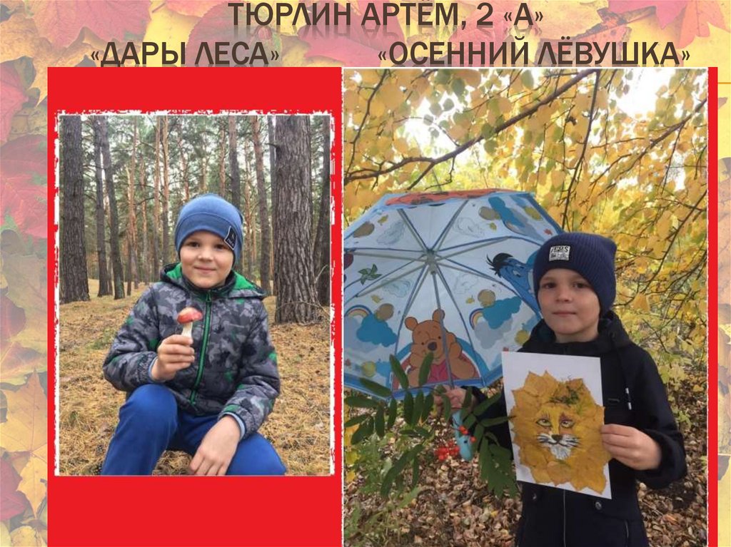 Тюрлин Артём, 2 «А» «Дары леса» «Осенний Лёвушка»