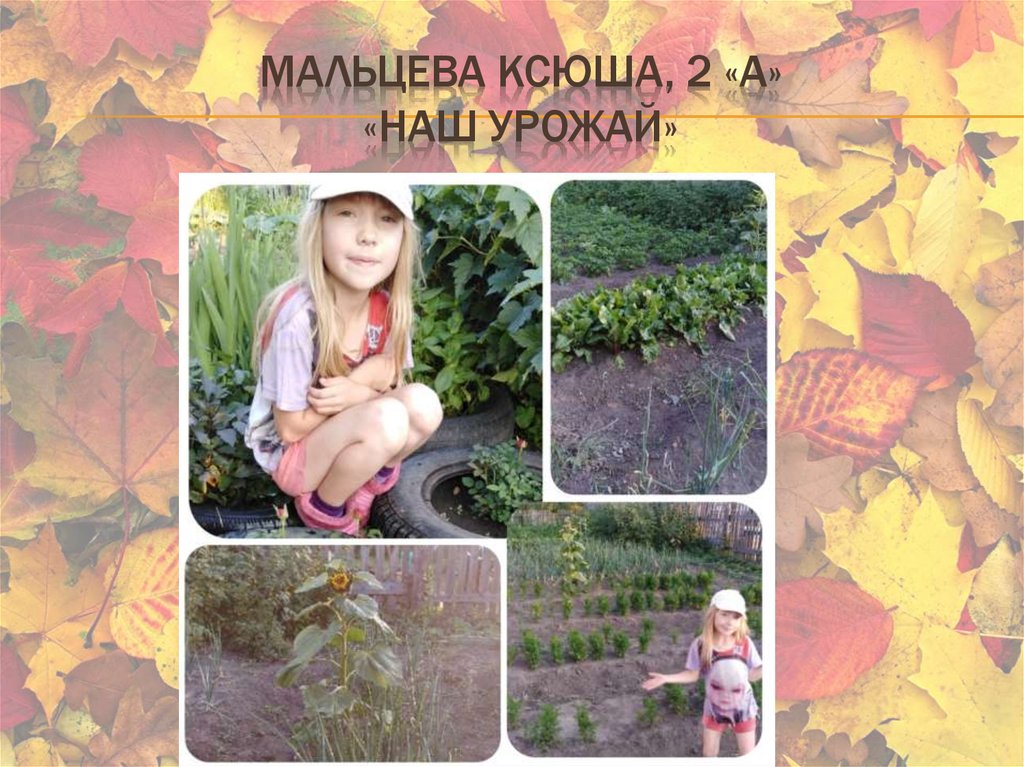 Мальцева Ксюша, 2 «А» «наш урожай»