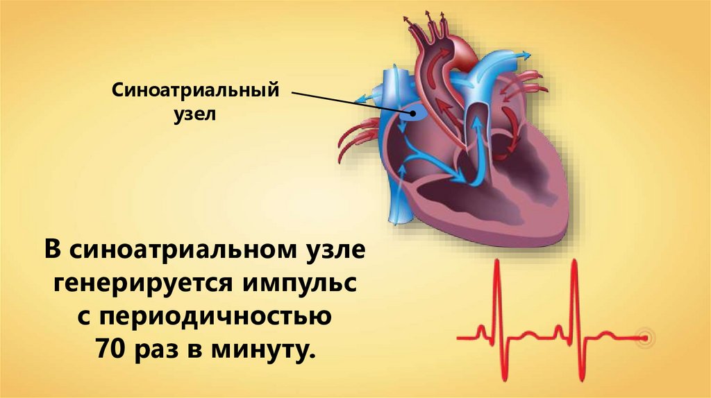 Электрическое сердце