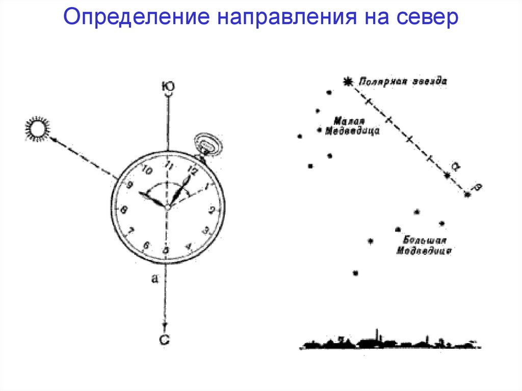 Конкретное направление