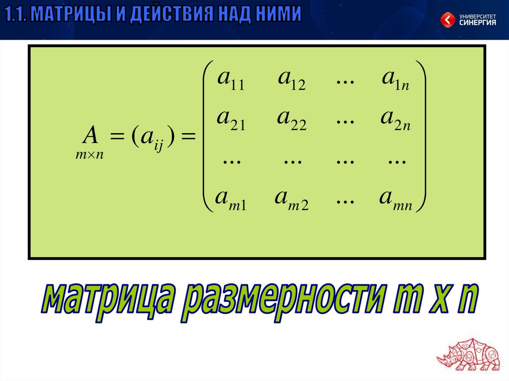 Матрицы и определители презентация