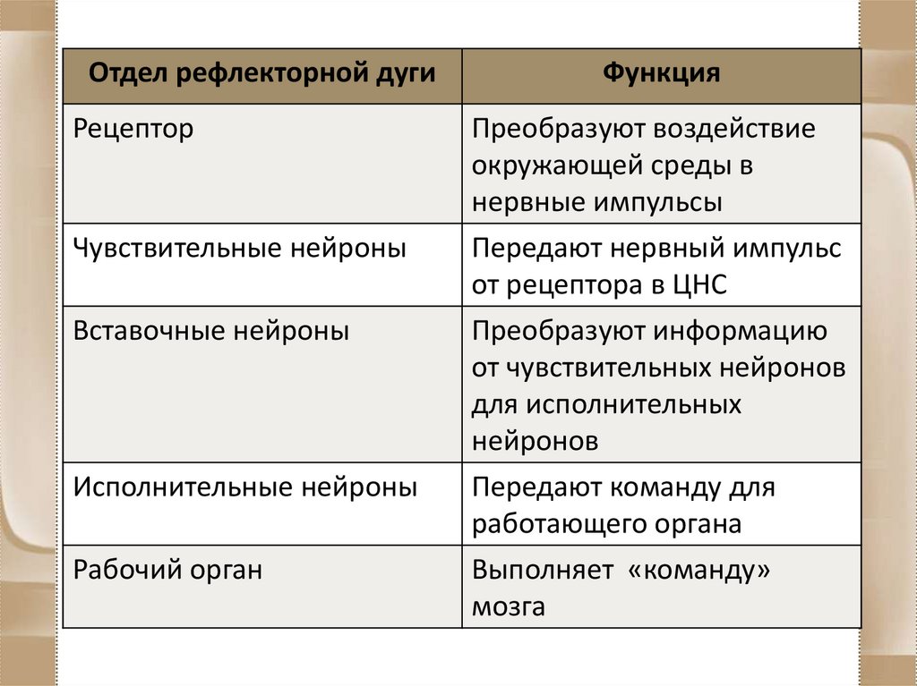 Рефлекторная регуляция функций