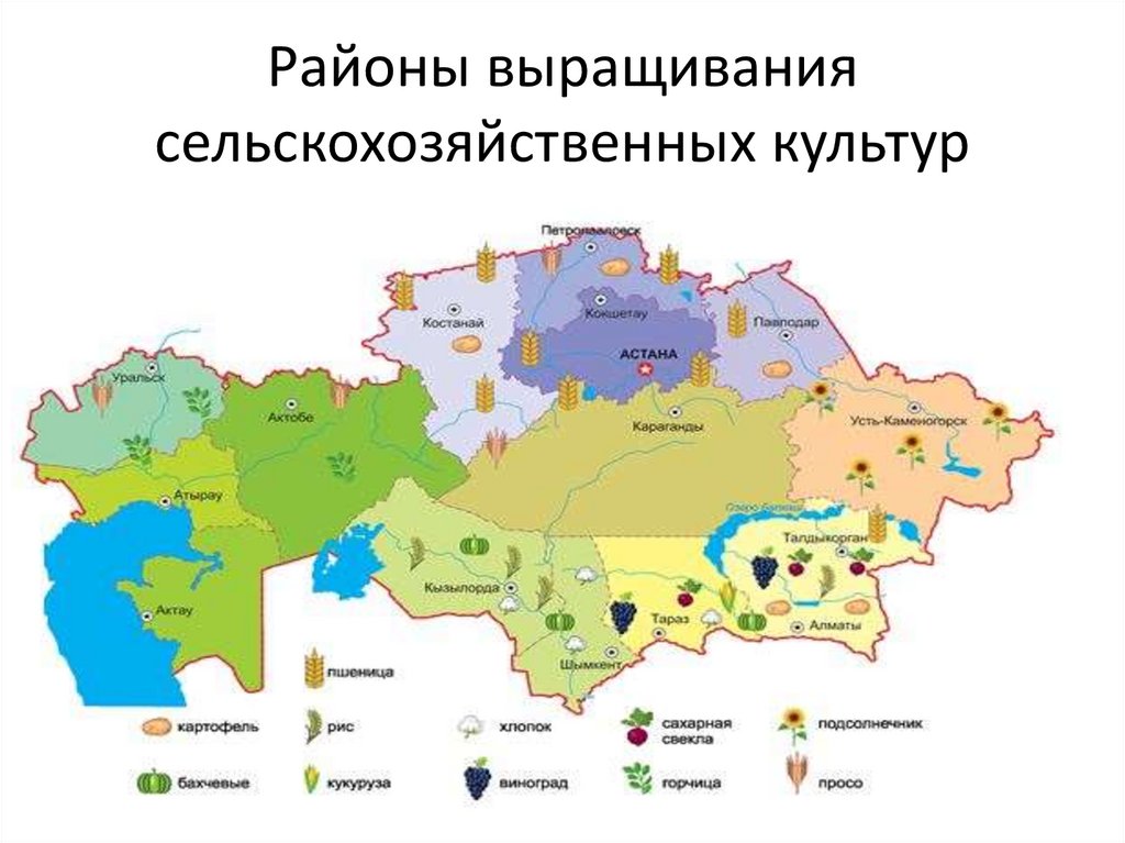 Карта природных ресурсов Казахстана. Лесные ресурсы Казахстана карта. Ресурсная карта Казахстана.