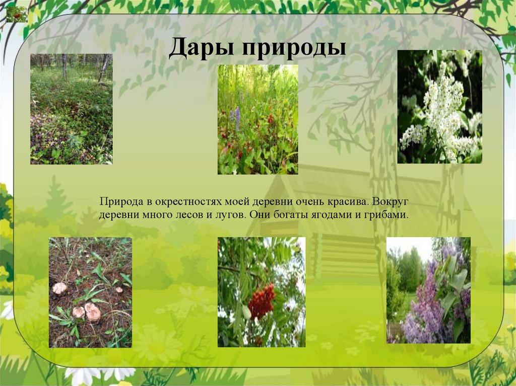 Дары природы