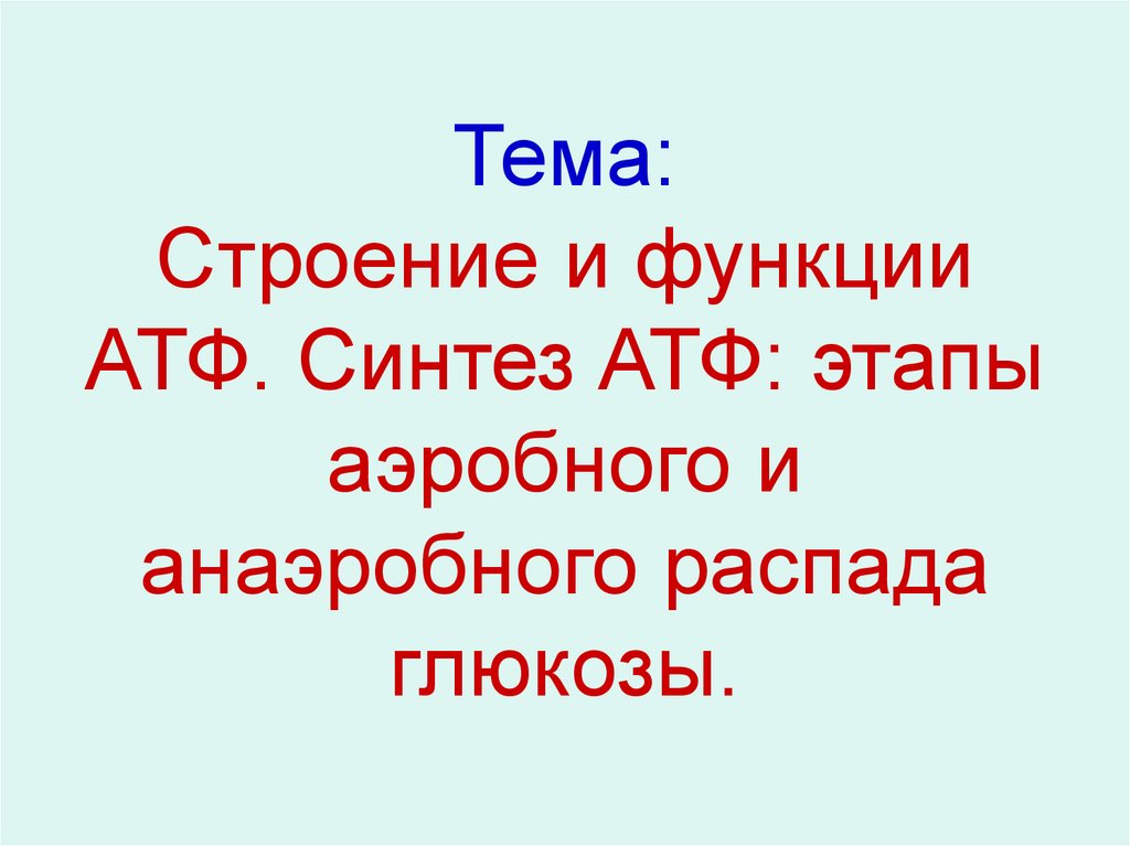 Синтез атф этапы аэробного и анаэробного распада глюкозы презентация