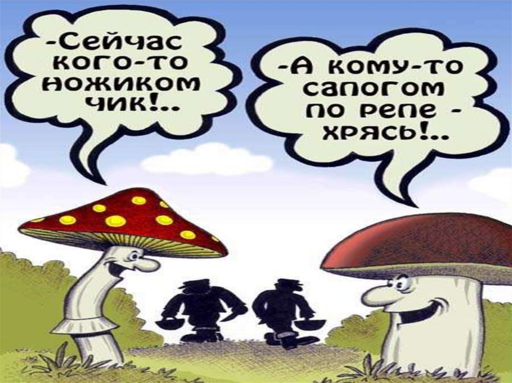 Юмор Про Грибы Картинки