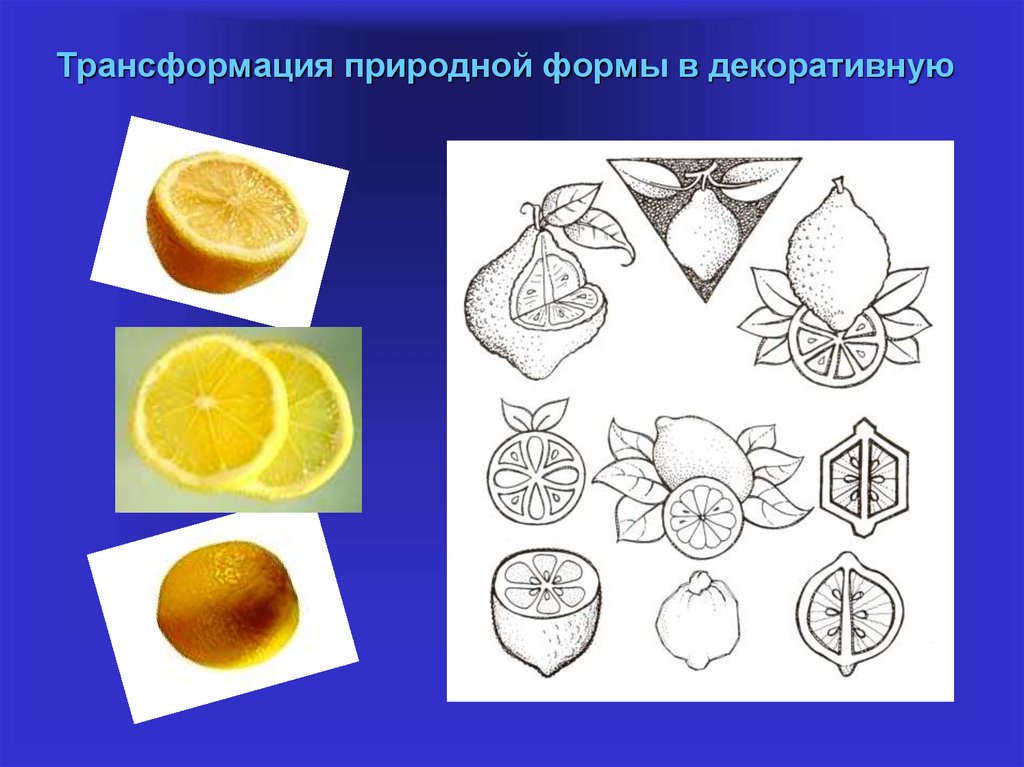 Создай рисунки в которых преврати реальные формы в обобщенные декоративные изо 5 класс