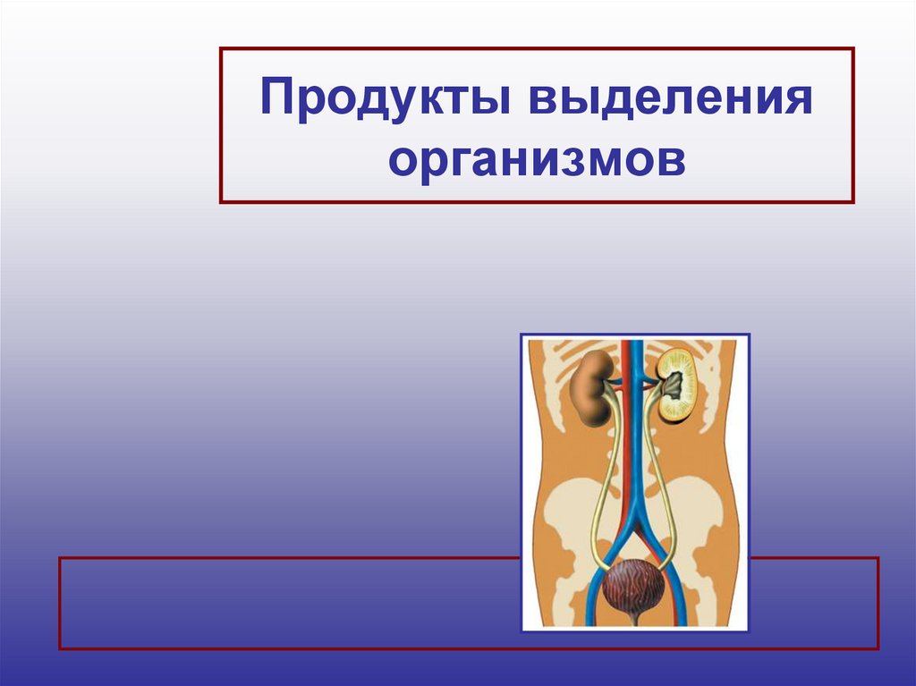 Презентация выделение 8 класс