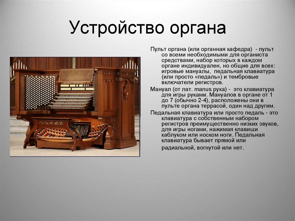 Орган 5 мая. Строение органа музыкального инструмента. Принцип работы органа музыкального. Как устроен орган музыкальный инструмент. Орган структура инструмента.