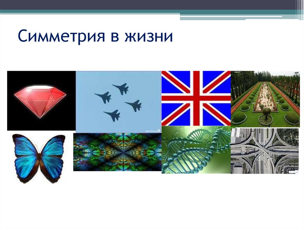 Симметрия в жизни