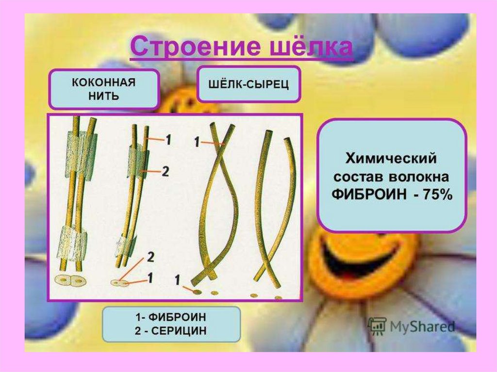 Длина шелка. Строение шелка. Строение волокон. Строение нити. Коконная нить шелка.