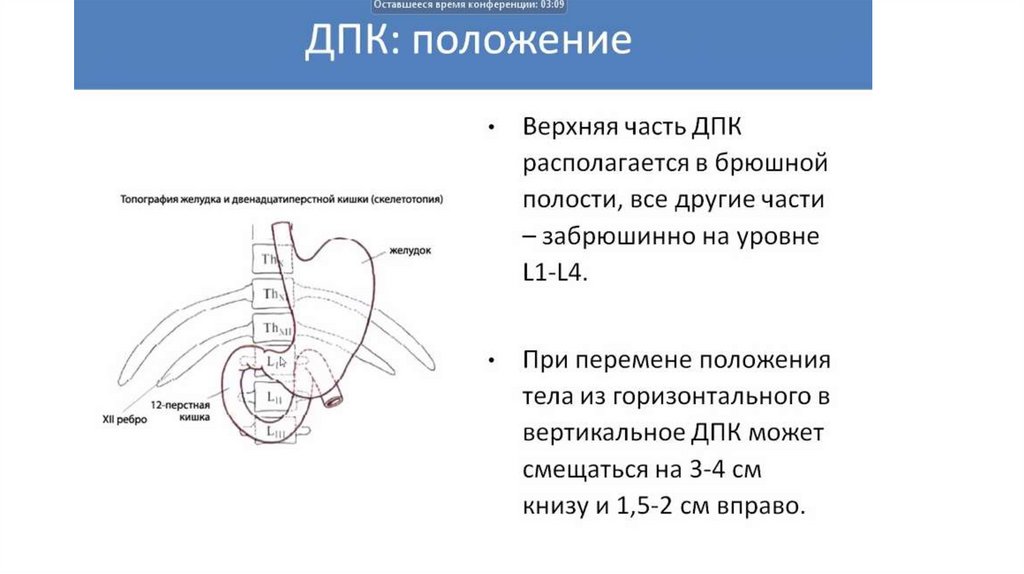 Рентгеноанатомия жкт презентация