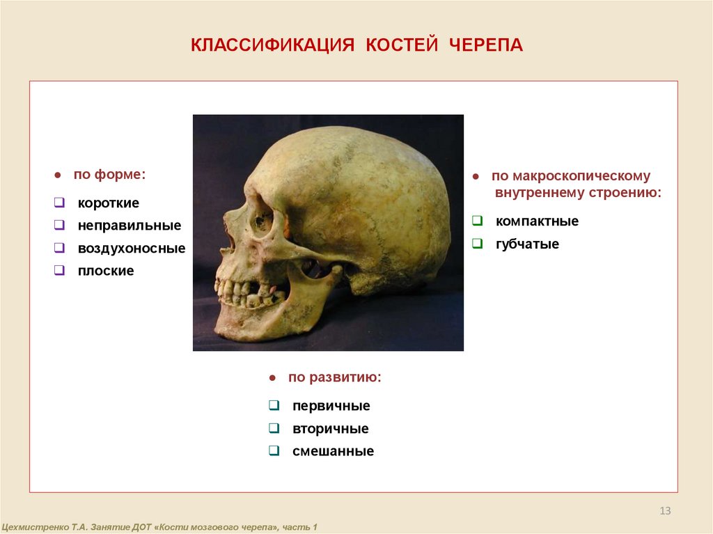 Неправильные кости